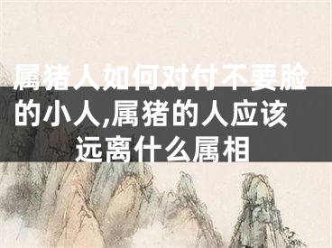 属猪人如何对付不要脸的小人,属猪的人应该远离什么属相