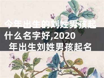 今年出生的刘姓男孩起什么名字好,2020年出生刘姓男孩起名