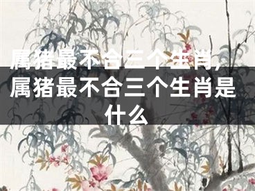 属猪最不合三个生肖,属猪最不合三个生肖是什么