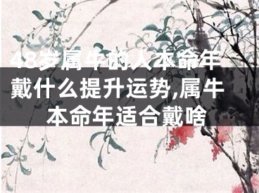 48岁属牛的人本命年戴什么提升运势,属牛本命年适合戴啥