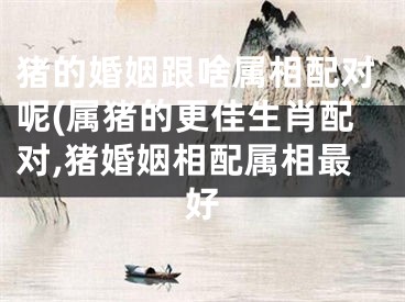 猪的婚姻跟啥属相配对呢(属猪的更佳生肖配对,猪婚姻相配属相最好