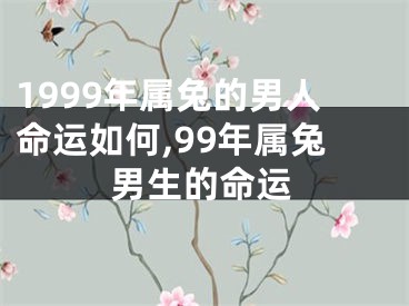 1999年属兔的男人命运如何,99年属兔男生的命运