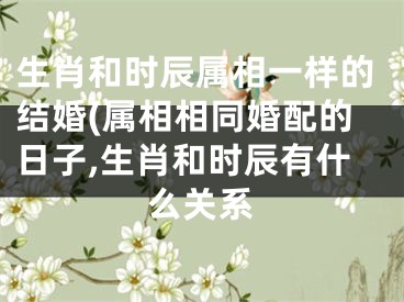 生肖和时辰属相一样的结婚(属相相同婚配的日子,生肖和时辰有什么关系