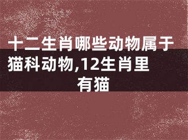 十二生肖哪些动物属于猫科动物,12生肖里有猫