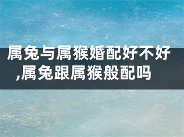 属兔与属猴婚配好不好,属兔跟属猴般配吗
