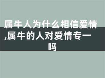 属牛人为什么相信爱情,属牛的人对爱情专一吗
