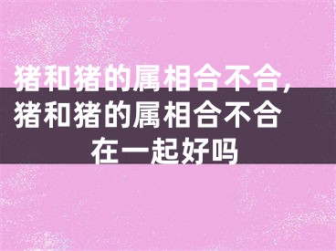 猪和猪的属相合不合,猪和猪的属相合不合 在一起好吗