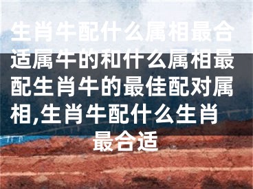 生肖牛配什么属相最合适属牛的和什么属相最配生肖牛的最佳配对属相,生肖牛配什么生肖最合适
