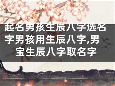 起名男孩生辰八字选名字男孩用生辰八字,男宝生辰八字取名字
