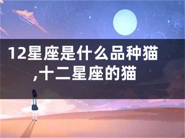 12星座是什么品种猫,十二星座的猫