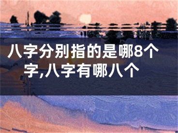 八字分别指的是哪8个字,八字有哪八个
