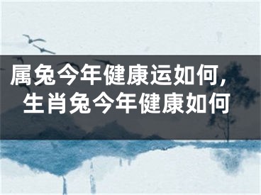 属兔今年健康运如何,生肖兔今年健康如何