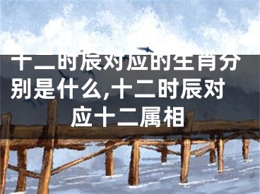 十二时辰对应的生肖分别是什么,十二时辰对应十二属相