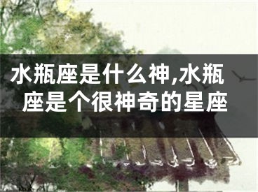 水瓶座是什么神,水瓶座是个很神奇的星座