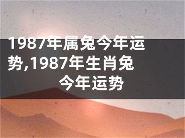 1987年属兔今年运势,1987年生肖兔今年运势