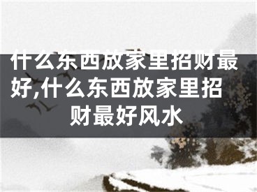 什么东西放家里招财最好,什么东西放家里招财最好风水