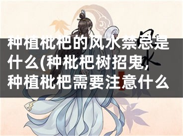 种植枇杷的风水禁忌是什么(种枇杷树招鬼,种植枇杷需要注意什么