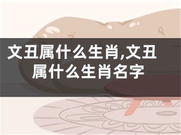 文丑属什么生肖,文丑属什么生肖名字