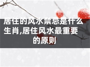 居住的风水禁忌是什么生肖,居住风水最重要的原则