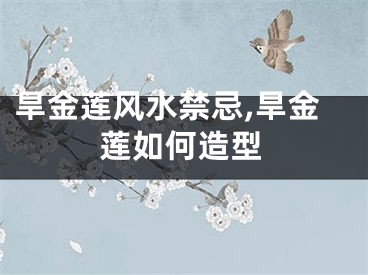 旱金莲风水禁忌,旱金莲如何造型