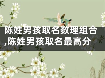 陈姓男孩取名数理组合,陈姓男孩取名最高分