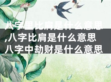 八字里比肩是什么意思,八字比肩是什么意思八字中劫财是什么意思