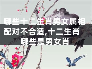 哪些十二生肖男女属相配对不合适,十二生肖哪些是男女肖