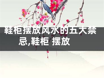 鞋柜摆放风水的五大禁忌,鞋柜 摆放