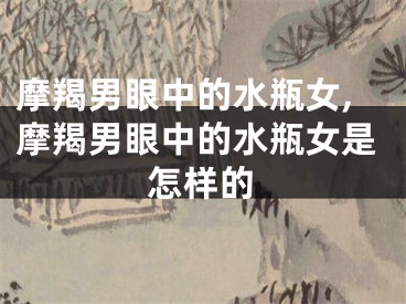 摩羯男眼中的水瓶女,摩羯男眼中的水瓶女是怎样的