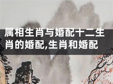 属相生肖与婚配十二生肖的婚配,生肖和婚配
