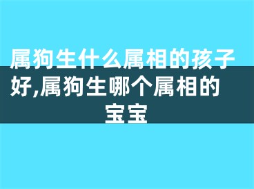 属狗生什么属相的孩子好,属狗生哪个属相的宝宝