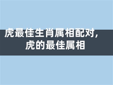 虎最佳生肖属相配对,虎的最佳属相