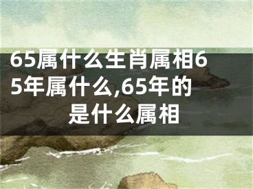 65属什么生肖属相65年属什么,65年的是什么属相