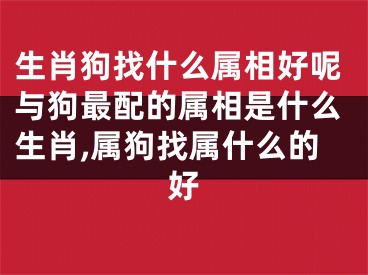 生肖狗找什么属相好呢与狗最配的属相是什么生肖,属狗找属什么的好