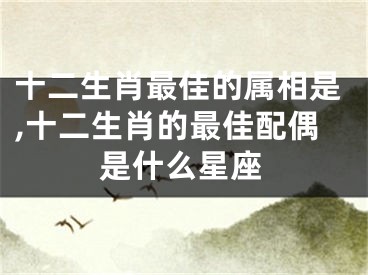 十二生肖最佳的属相是,十二生肖的最佳配偶是什么星座