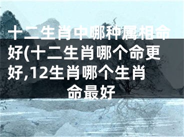 十二生肖中哪种属相命好(十二生肖哪个命更好,12生肖哪个生肖命最好