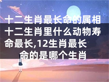 十二生肖最长命的属相十二生肖里什么动物寿命最长,12生肖最长命的是哪个生肖