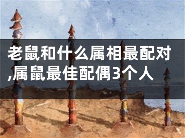 老鼠和什么属相最配对,属鼠最佳配偶3个人