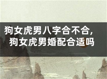 狗女虎男八字合不合,狗女虎男婚配合适吗