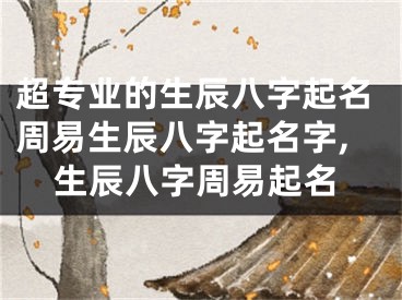 超专业的生辰八字起名周易生辰八字起名字,生辰八字周易起名