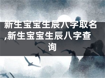 新生宝宝生辰八字取名,新生宝宝生辰八字查询