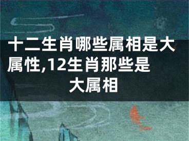 十二生肖哪些属相是大属性,12生肖那些是大属相