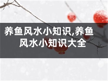 养鱼风水小知识,养鱼风水小知识大全