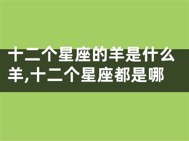 十二个星座的羊是什么羊,十二个星座都是哪