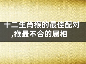十二生肖猴的最佳配对,猴最不合的属相