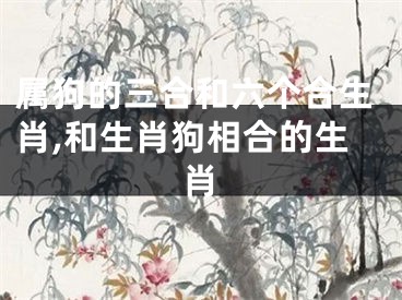 属狗的三合和六个合生肖,和生肖狗相合的生肖