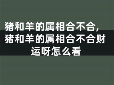 猪和羊的属相合不合,猪和羊的属相合不合财运呀怎么看