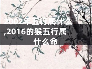2002年五行属什么,2016的猴五行属什么命