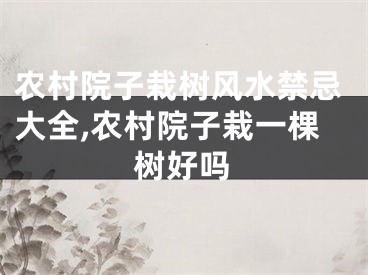 农村院子栽树风水禁忌大全,农村院子栽一棵树好吗