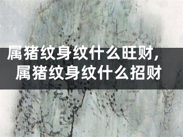 属猪纹身纹什么旺财,属猪纹身纹什么招财